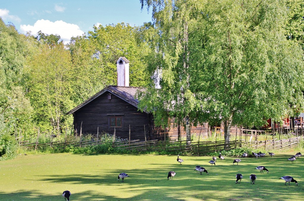 Foto: Skansen - Stockholm, Suecia