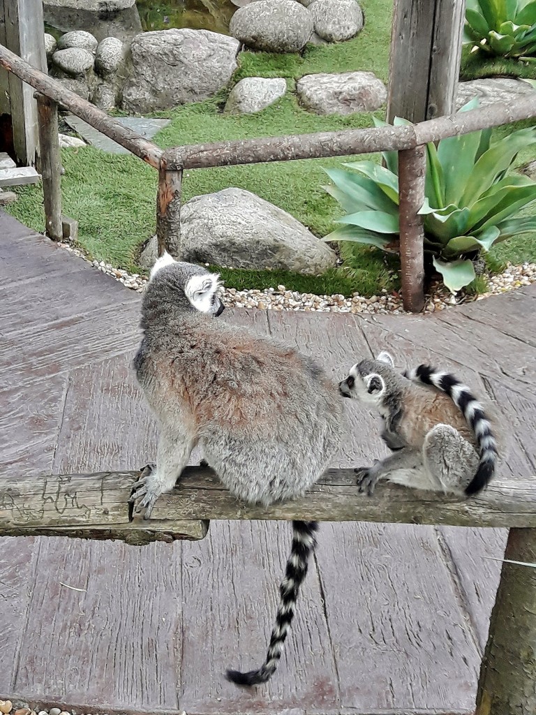 Foto: Skansen - Stockholm, Suecia