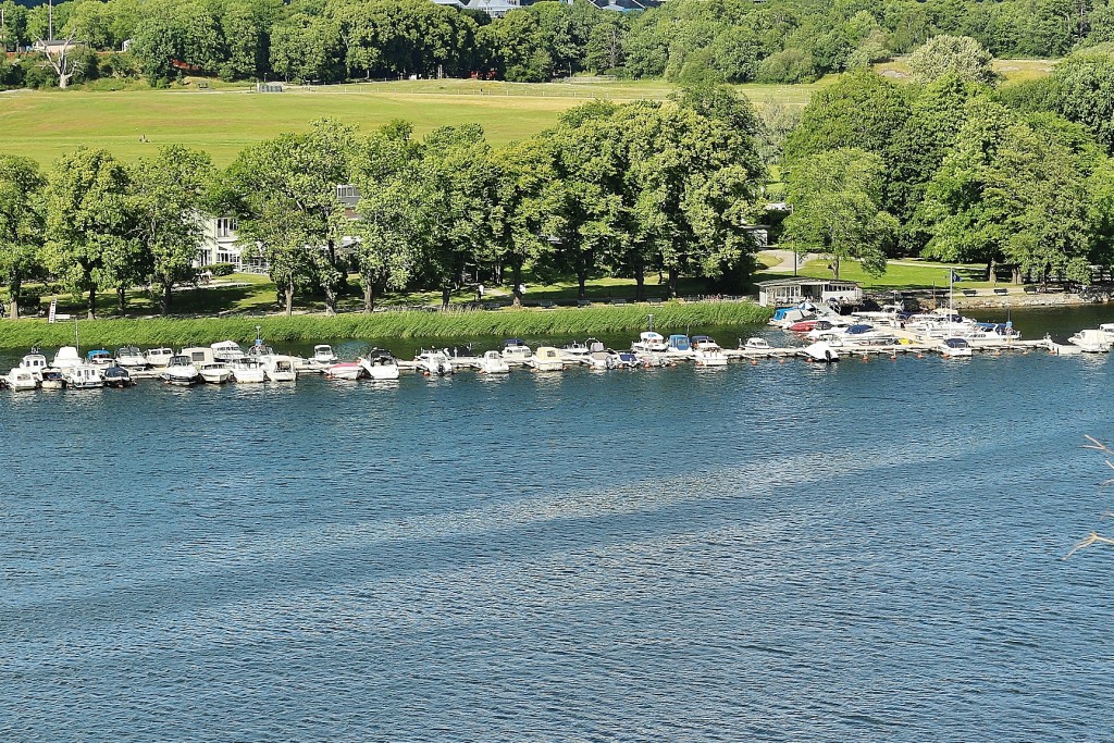 Foto: Skansen - Stockholm, Suecia