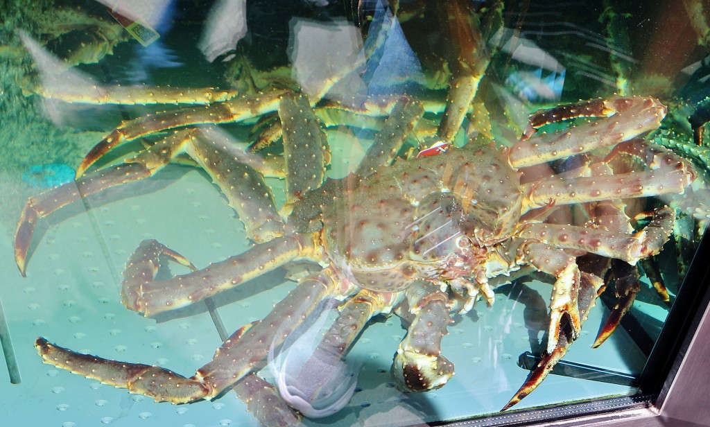 Foto: Mercado del pescado - Bergen (Hordaland), Noruega