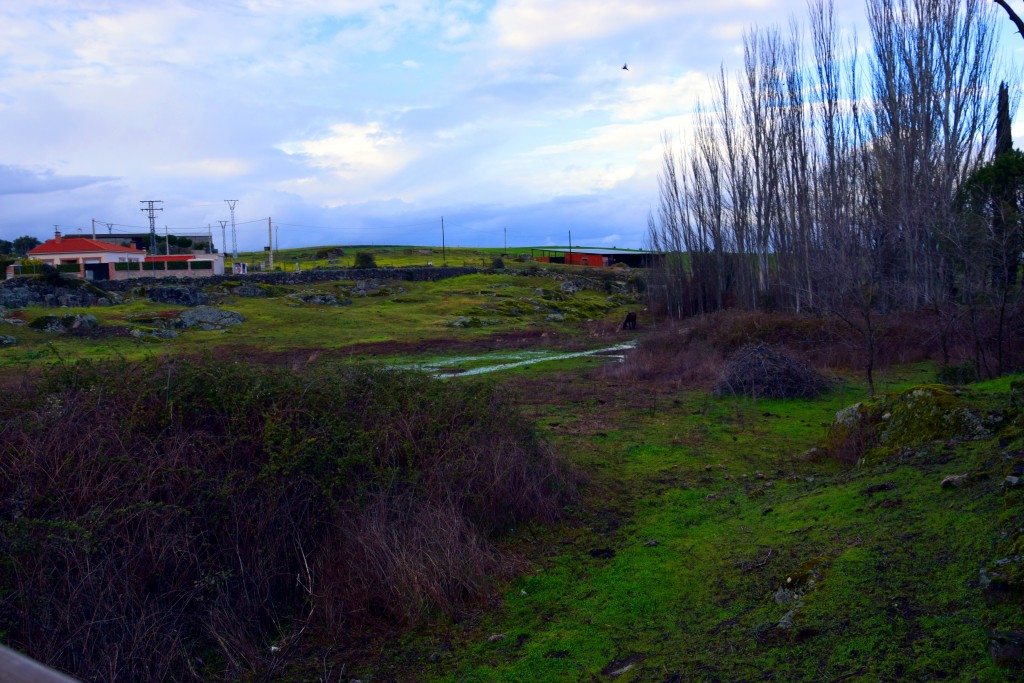 Foto de Oropesa (Toledo), España