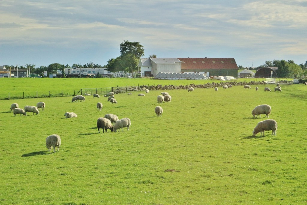 Foto: Paisaje - Stavanger (Rogaland), Noruega