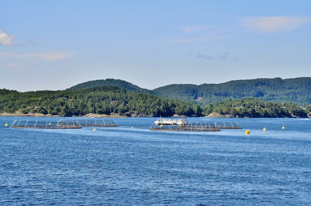 Foto: Navegando - Stavanger (Rogaland), Noruega