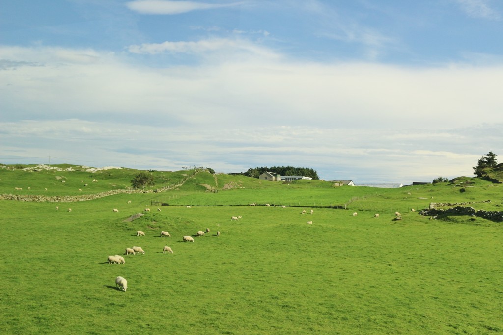 Foto: Paisaje - Stavanger (Rogaland), Noruega