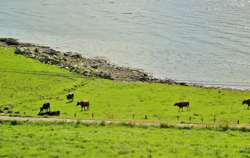 Foto: Paisaje - Stavanger (Rogaland), Noruega