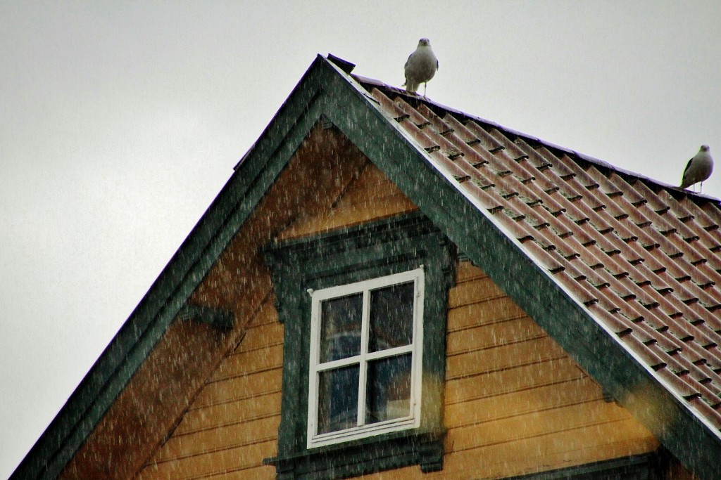 Foto: Centro histórico - Stavanger (Rogaland), Noruega