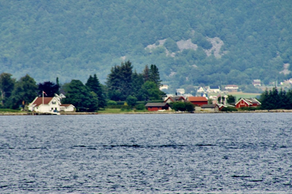 Foto: Navegando por el fiordo - Stavanger (Rogaland), Noruega