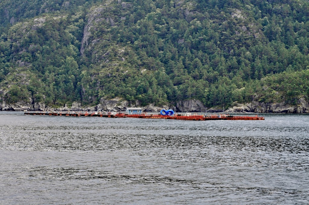 Foto: Navegando por el fiordo - Stavanger (Rogaland), Noruega