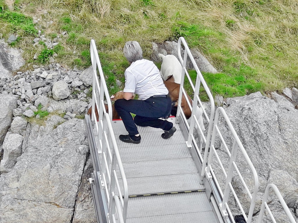 Foto: Navegando por el fiordo - Stavanger (Rogaland), Noruega