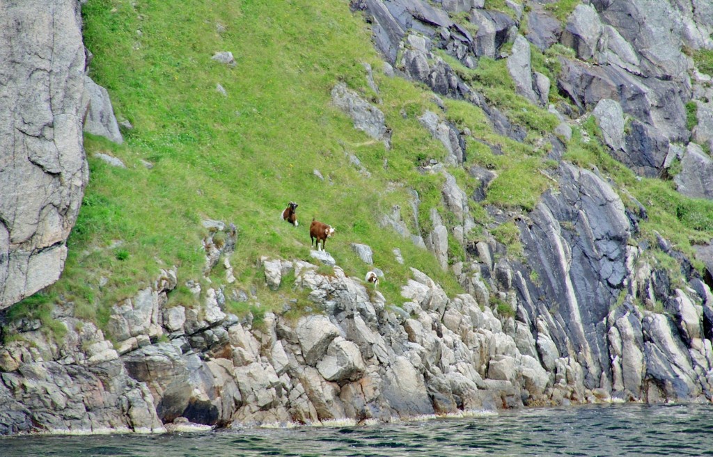 Foto: Navegando por el fiordo - Stavanger (Rogaland), Noruega