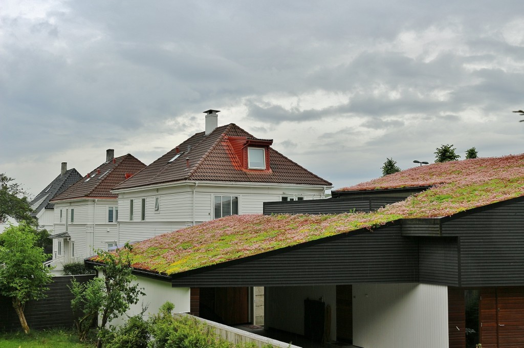 Foto: Zona residencial - Stavanger (Rogaland), Noruega