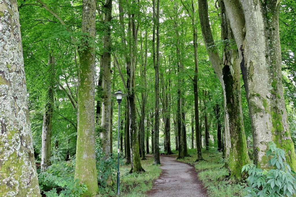 Foto: Zona residencial - Stavanger (Rogaland), Noruega