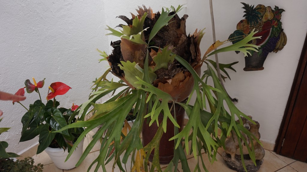 Foto: Buzios - Buzios (Rio de Janeiro), Brasil