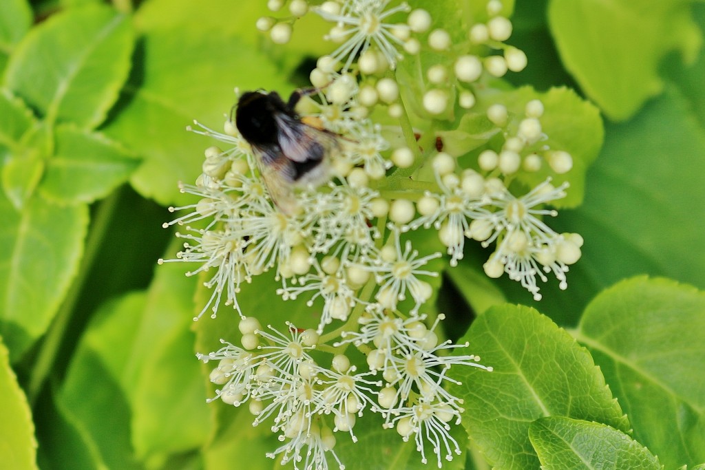 Foto: Vigeland - Oslo, Noruega