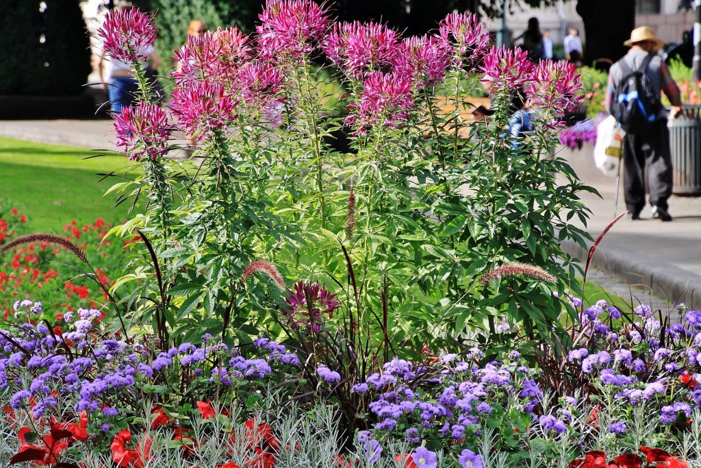 Foto: Vista de la ciudad - Oslo, Noruega