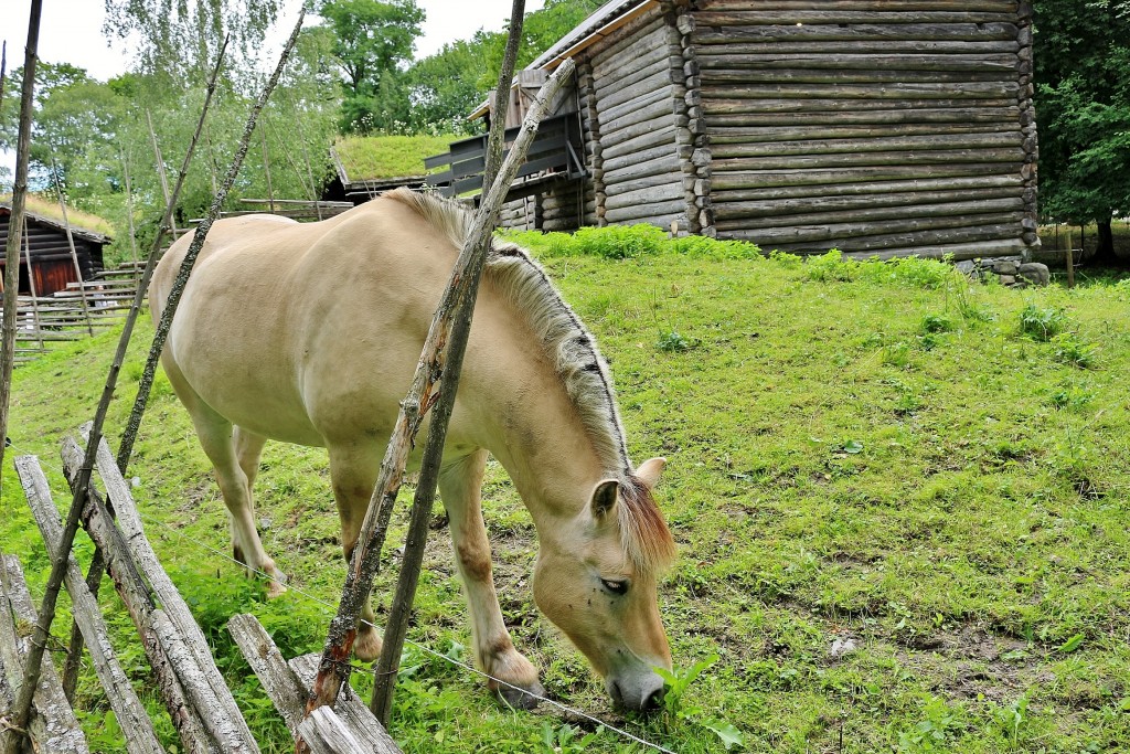 Foto: Museo del pueblo Noruego - Oslo, Noruega