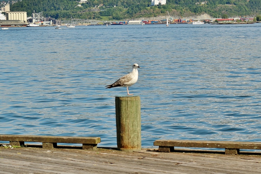 Foto: Posando - Oslo, Noruega