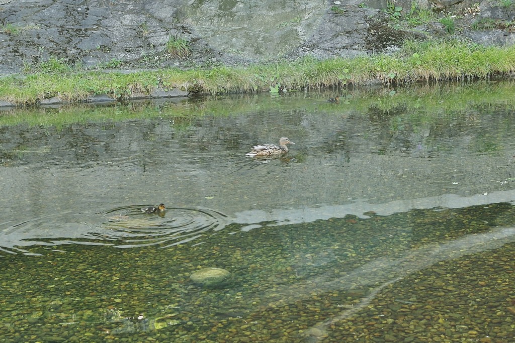 Foto: Fortaleza de Akershus - Oslo, Noruega