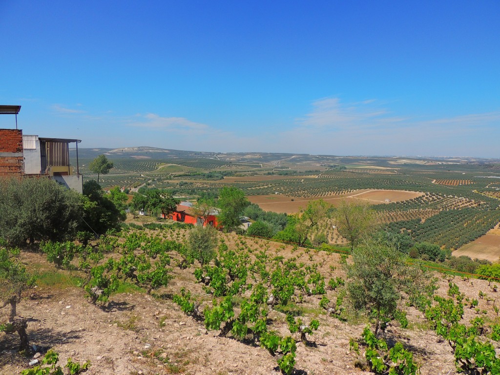 Foto de Monturque (Córdoba), España