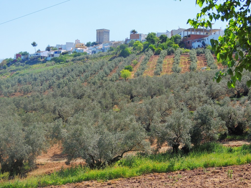 Foto de Monturque (Córdoba), España