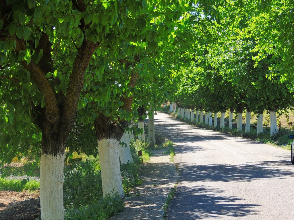 Foto de Monturque (Córdoba), España