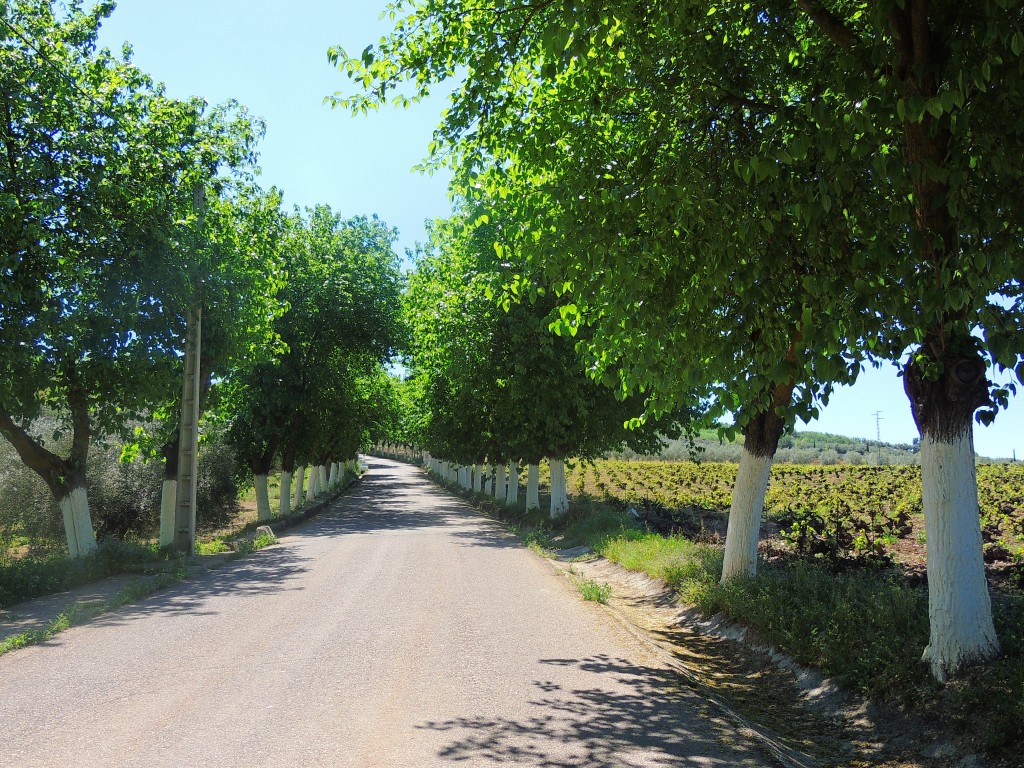 Foto de Monturque (Córdoba), España