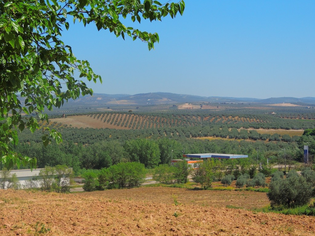 Foto de Monturque (Córdoba), España