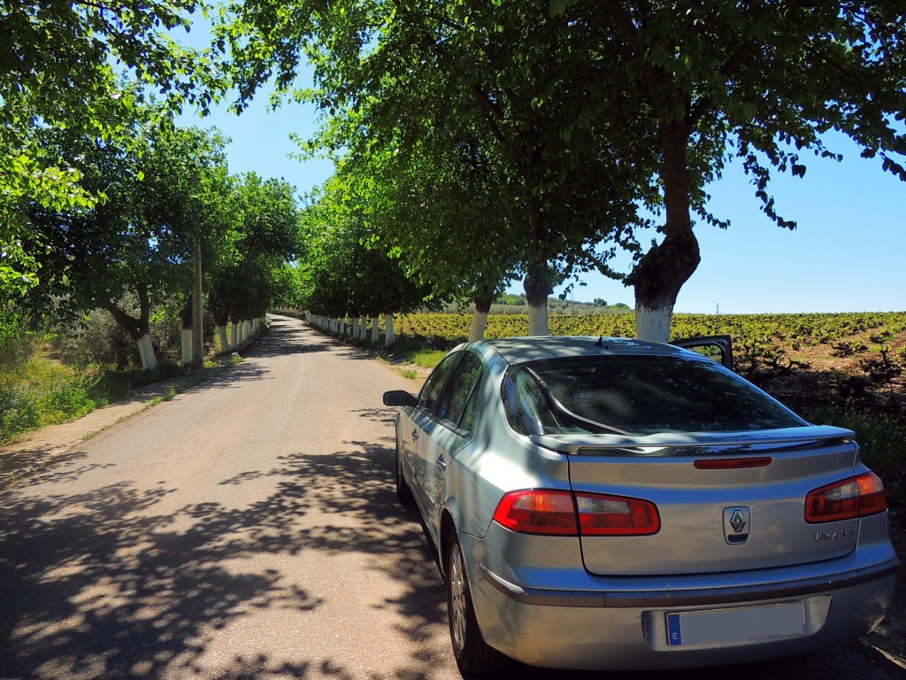 Foto de Monturque (Córdoba), España