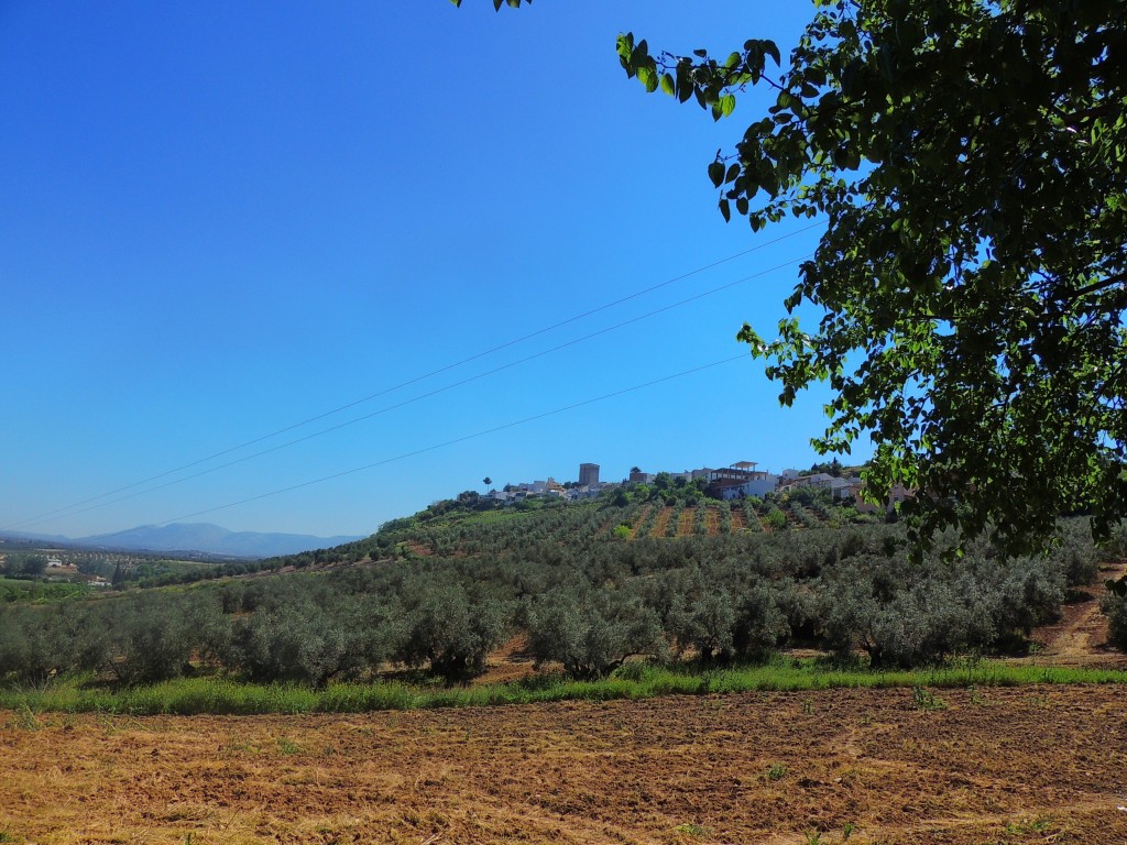 Foto de Monturque (Córdoba), España