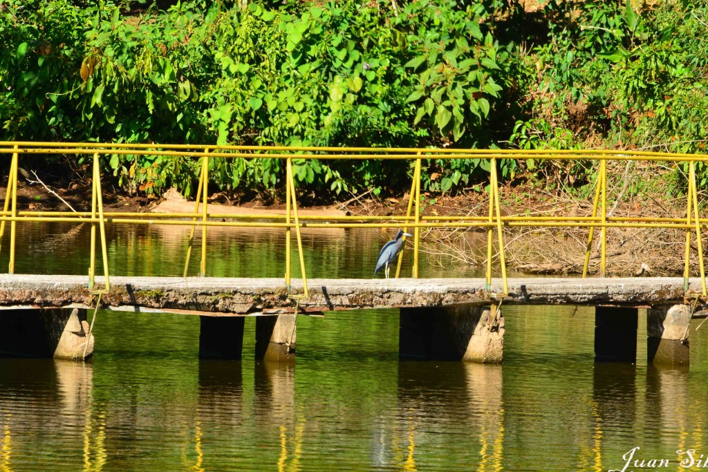 Foto de Alajuela, Costa Rica