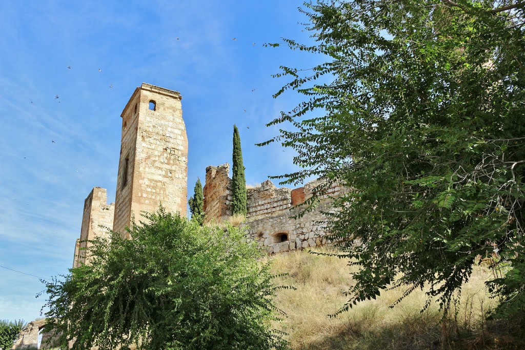 Foto: Castillo - Escalona (Toledo), España