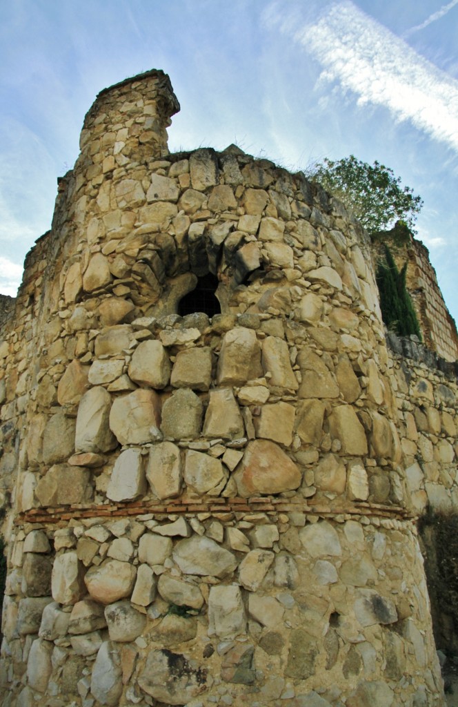 Foto: Castillo - Escalona (Toledo), España