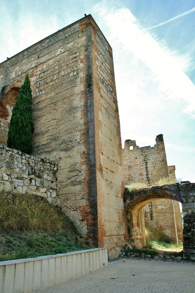 Foto: Castillo - Escalona (Toledo), España