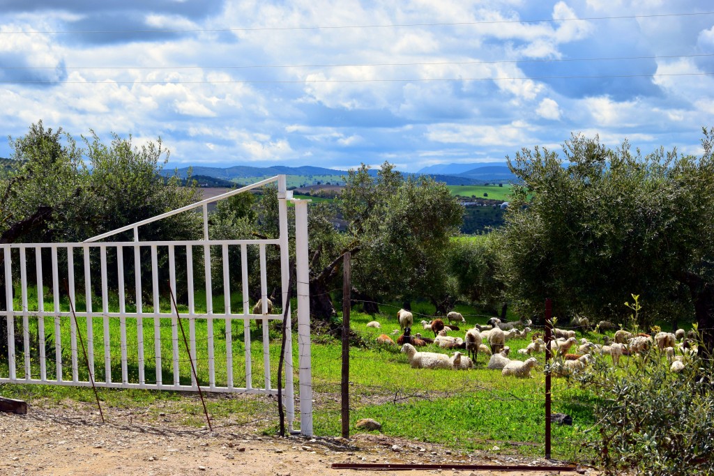 Foto de Villamartin (Cádiz), España