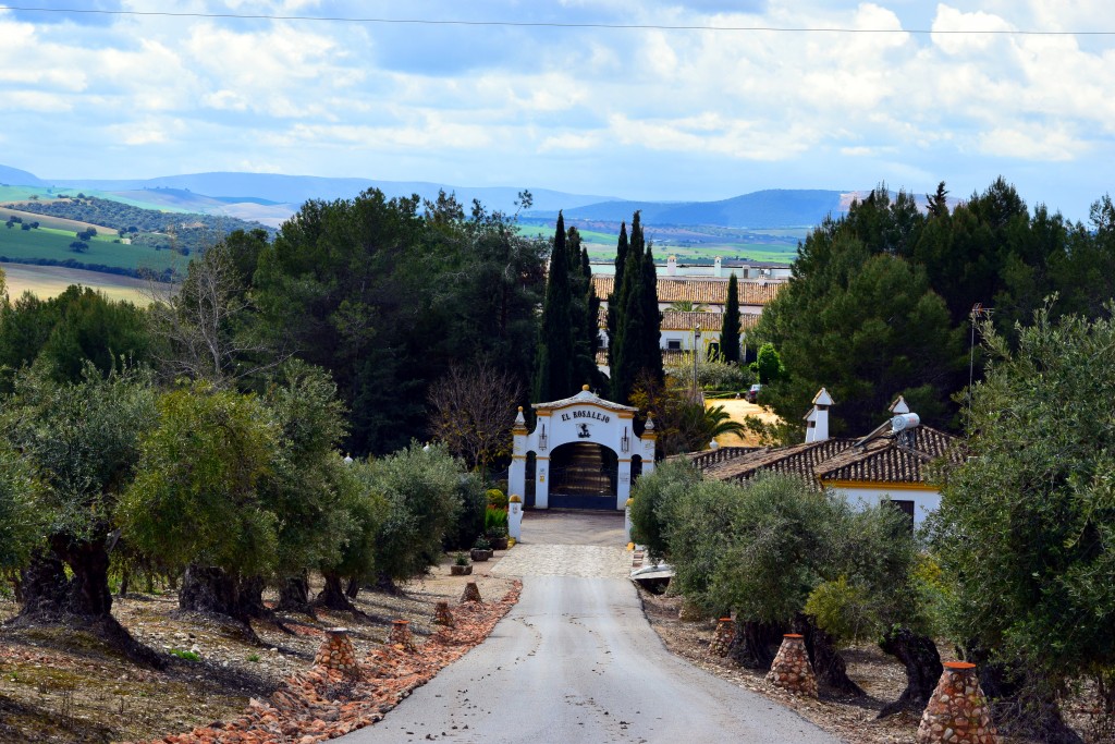 Foto de Villamartin (Cádiz), España