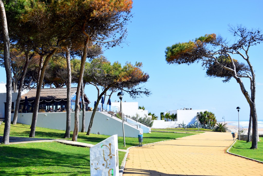 Foto de Conil de la Frontera (Cádiz), España