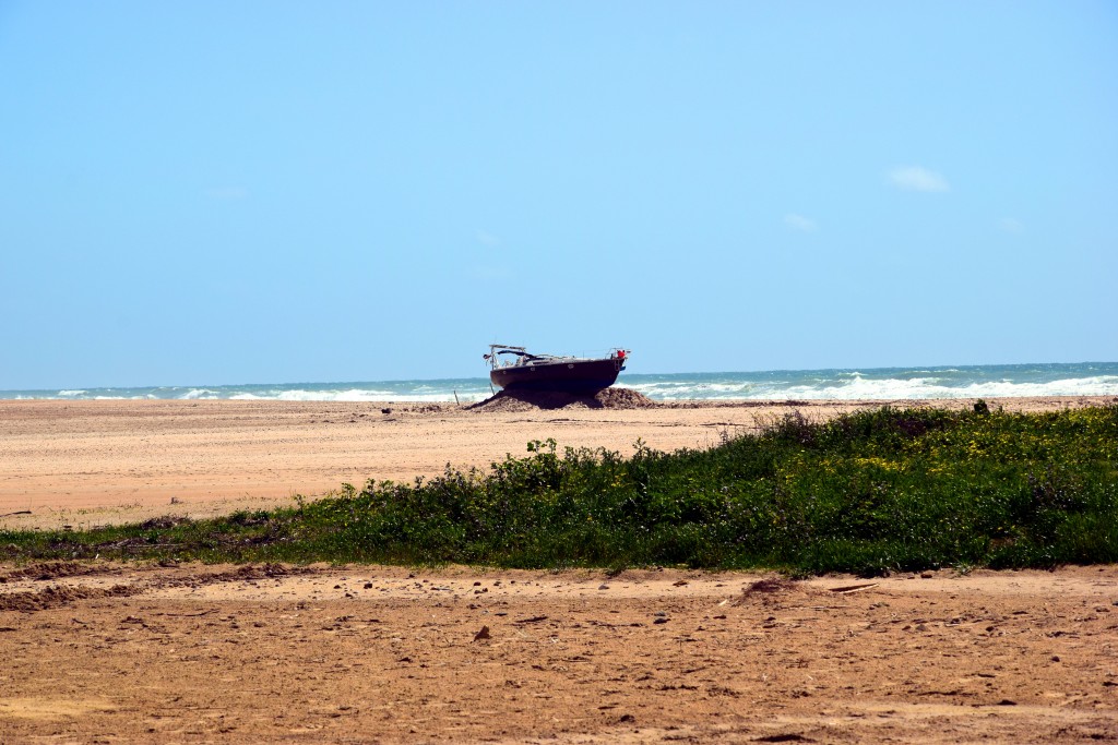 Foto de Conil de la Frontera (Cádiz), España