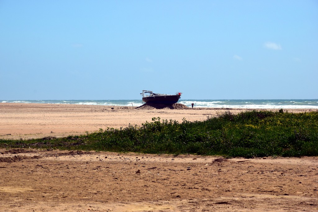 Foto de Conil de la Frontera (Cádiz), España