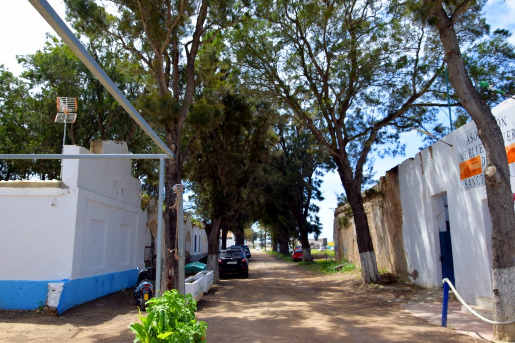 Foto de Sancti Petri (Cádiz), España