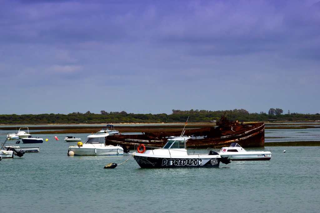 Foto de Sancti Petri (Cádiz), España