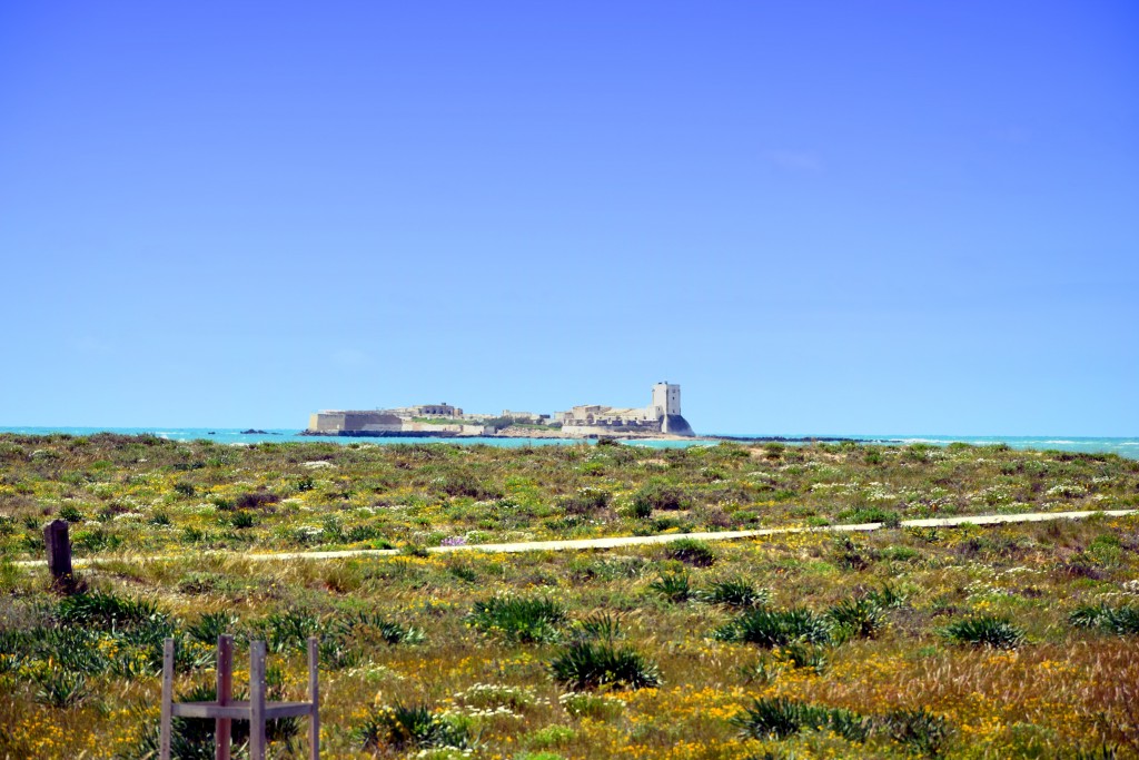 Foto de Sancti Petri (Cádiz), España
