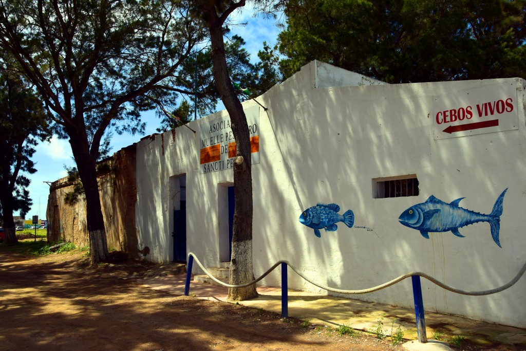 Foto de Sancti Petri (Cádiz), España