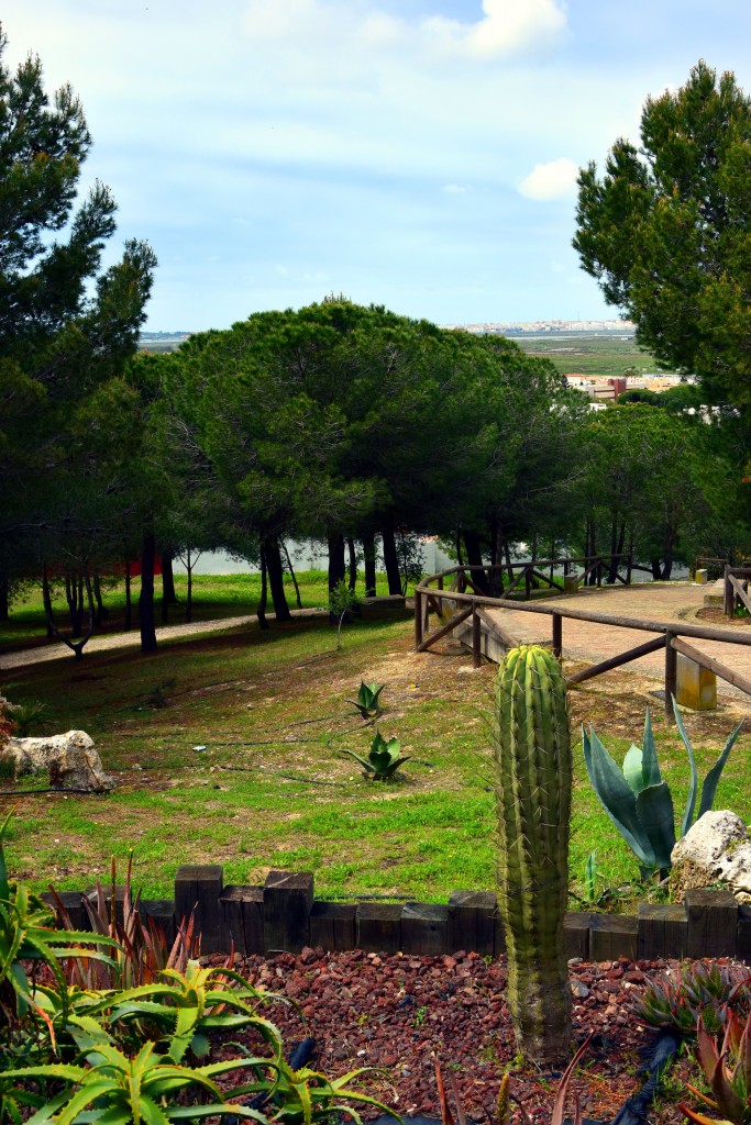 Foto de Chiclana (Cádiz), España