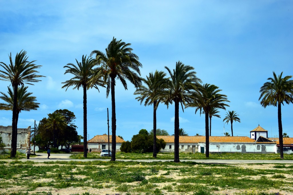 Foto de Sancti Petri (Cádiz), España