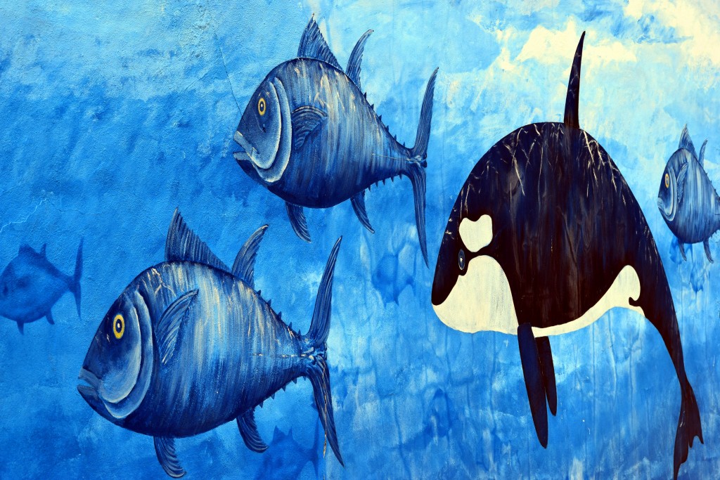 Foto de Sancti Petri (Cádiz), España