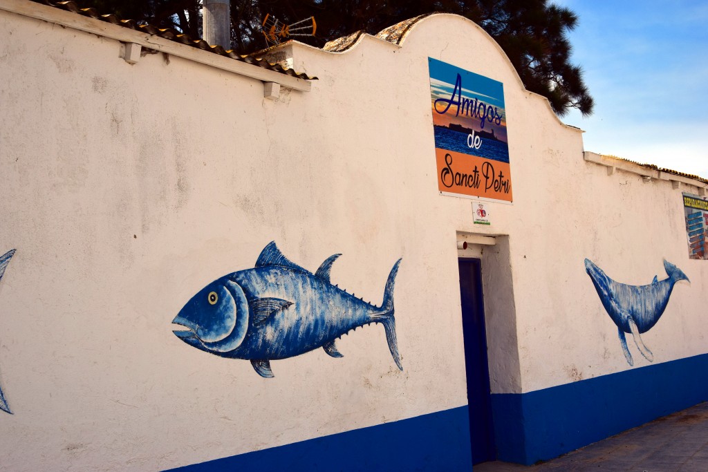 Foto de Sancti Petri (Cádiz), España