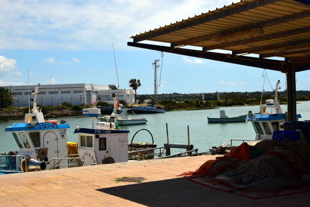 Foto de Sancti Petri (Cádiz), España