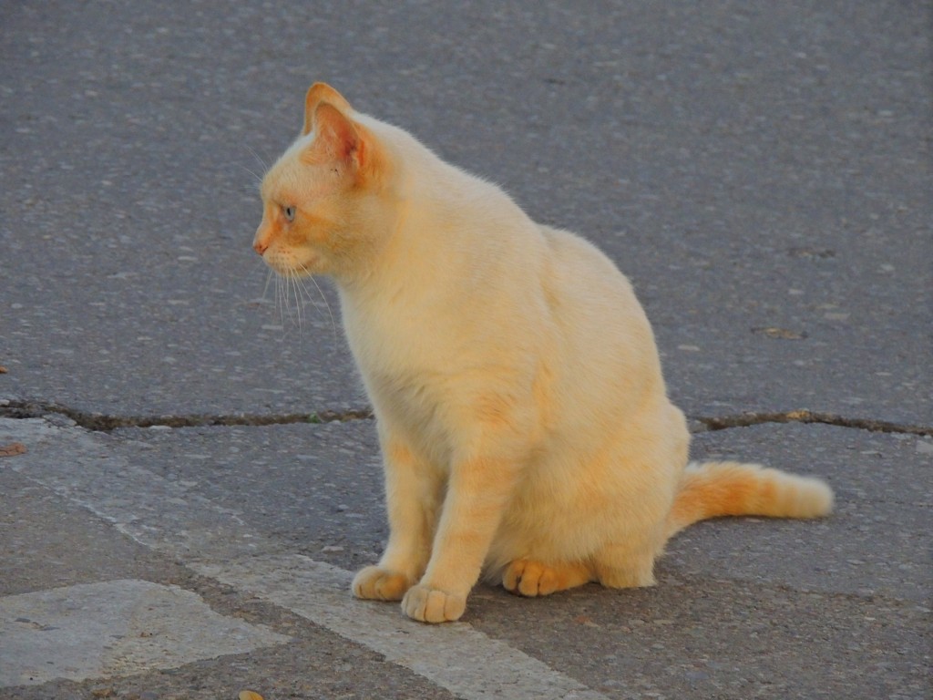 Foto de Hinojos (Huelva), España