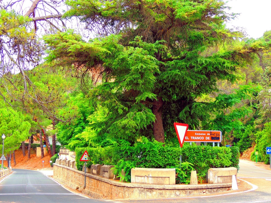 Foto de Embalse el Tranco (Jaén), España
