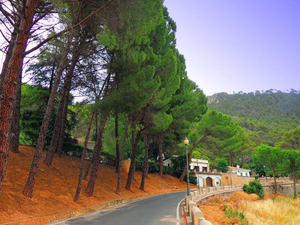 Foto de Embalse el Tranco (Jaén), España